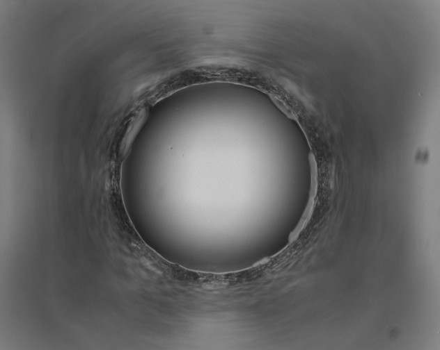 X0000094430965200712061110