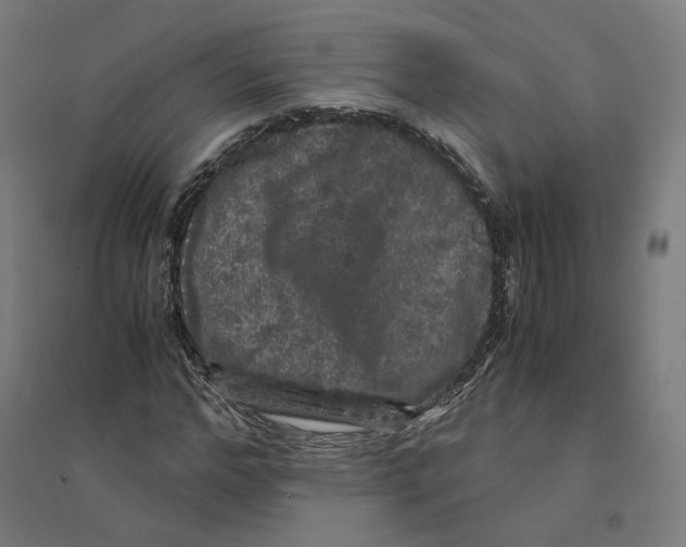 X0000094430968200712061110