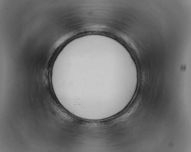 X0000094430970200712061110