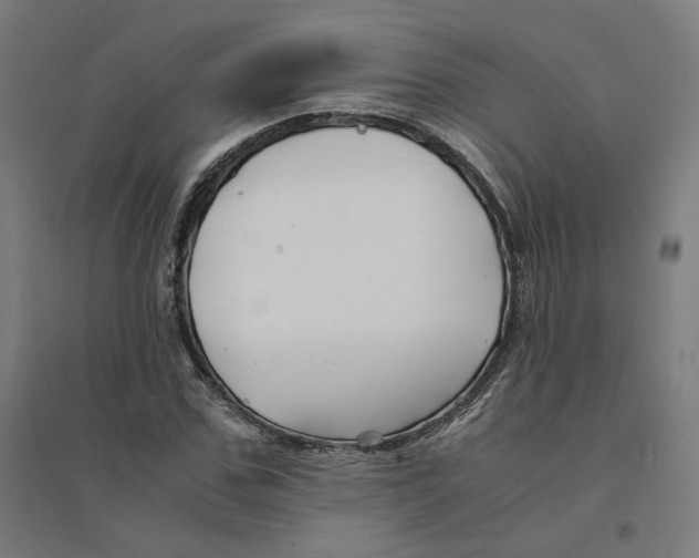 X0000094430971200712061110