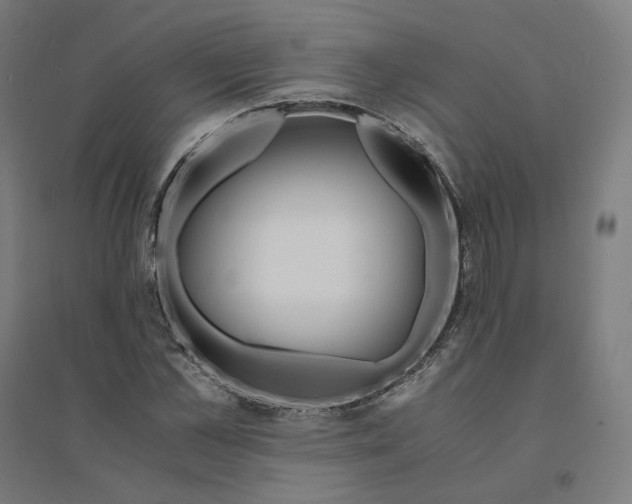 X0000094430973200712061110