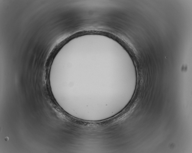 X0000094430974200712061110