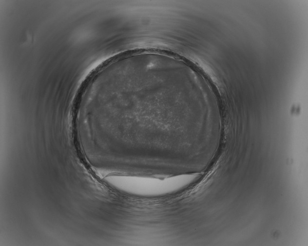 X0000094430975200712061110