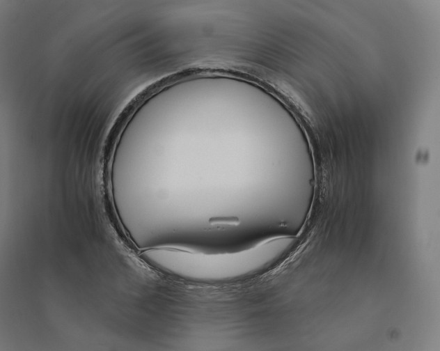 X0000094430976200712061110