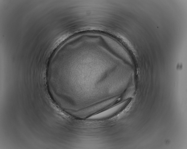 X0000094430977200712061110