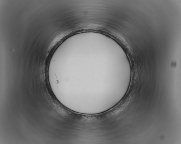 X0000094430978200712061110