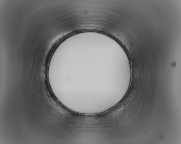 X0000094430979200712061110