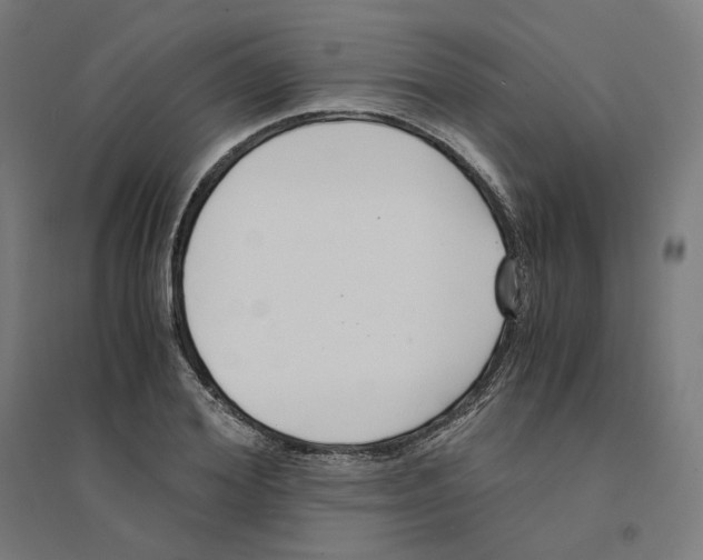 X0000094430980200712061110