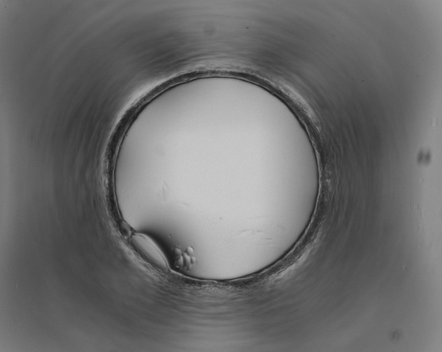 X0000094430981200712061110