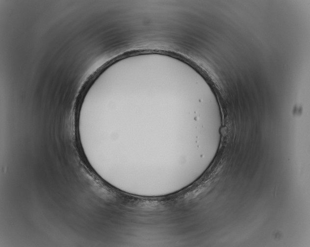 X0000094430982200712061110