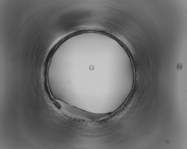 X0000094430983200712061110