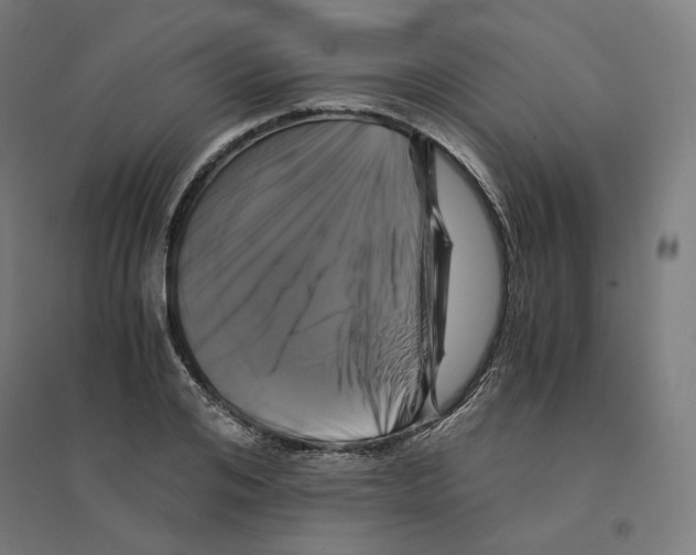 X0000094430984200712061110