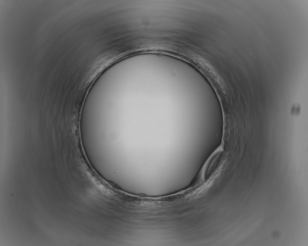 X0000094430985200712061110