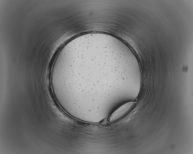 X0000094430987200712061110