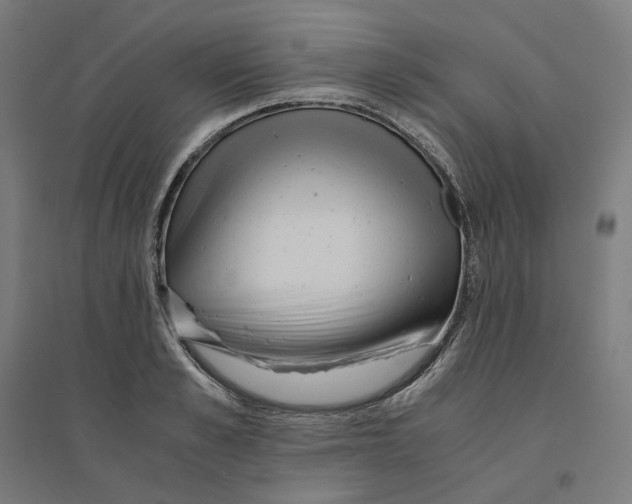 X0000094430989200712061110