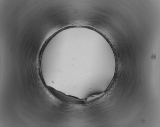 X0000094430990200712061110