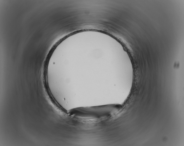 X0000094430991200712061110