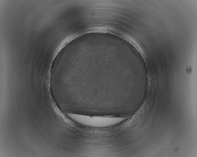 X0000094430994200712061110