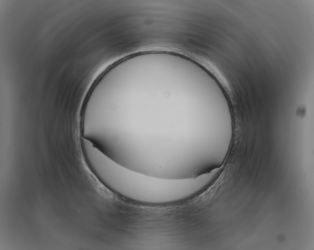 X0000094430996200712061110