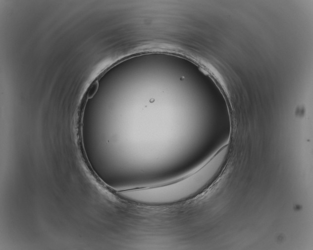 X0000094430997200712061110