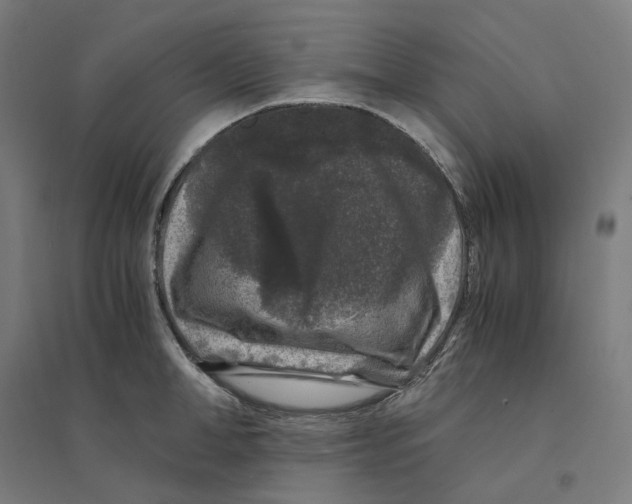 X0000094430998200712061110