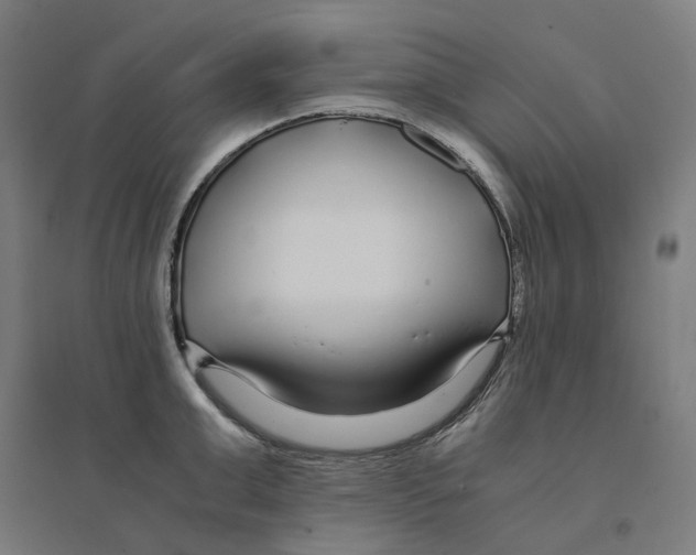 X0000094430999200712061110