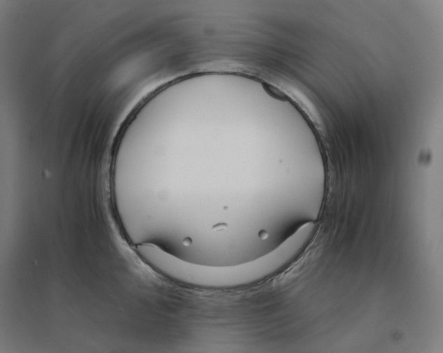 X0000094431000200712061110