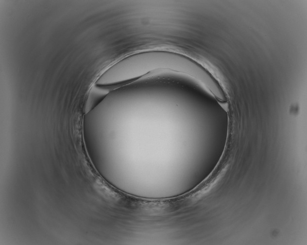 X0000094431001200712061110