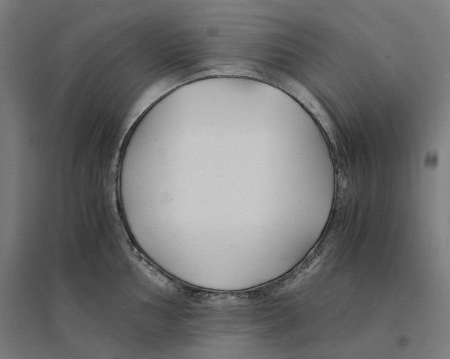 X0000094431002200712061110