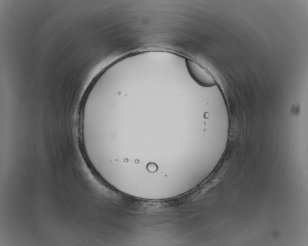 X0000094431003200712061110