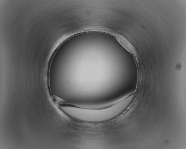 X0000094431005200712061110