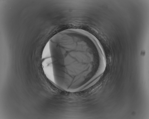 X0000094431009200712061109