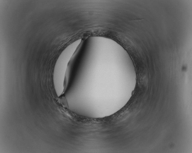 X0000094431010200712061109