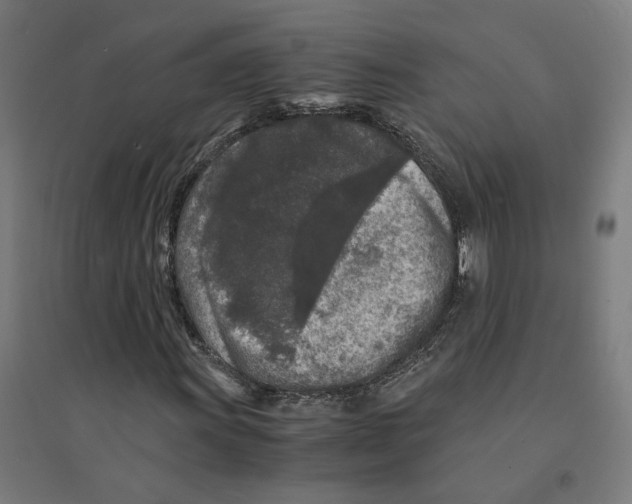 X0000094431011200712061109