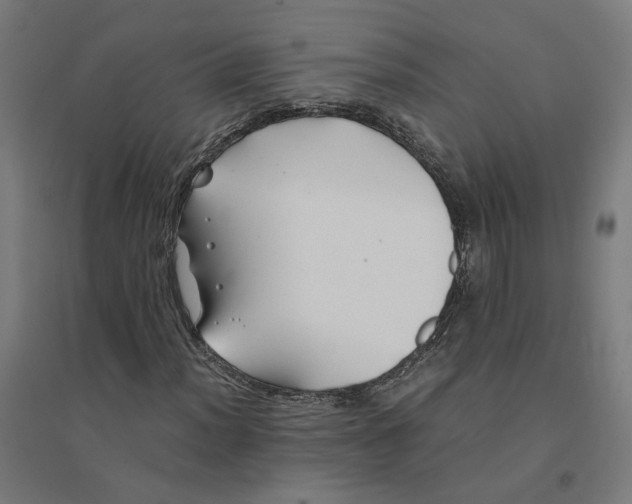 X0000094431012200712061109