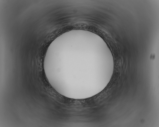 X0000094431013200712061109