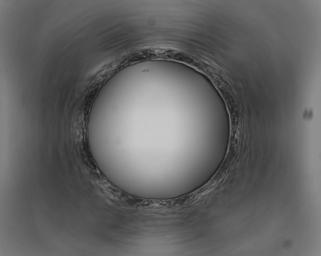 X0000094431014200712061109