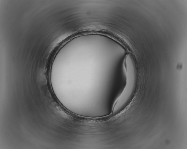 X0000094431018200712061109