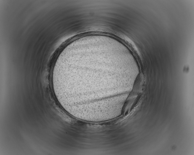 X0000094431019200712061109