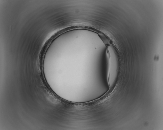 X0000094431022200712061109