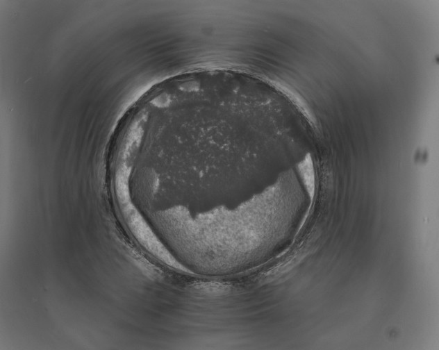 X0000094431023200712061109