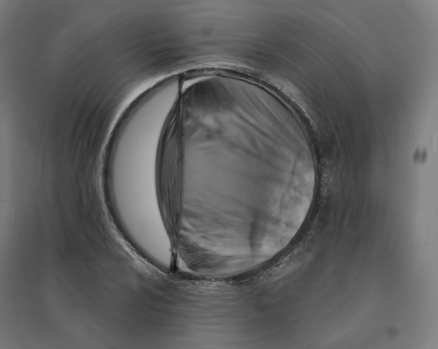 X0000094431024200712061109