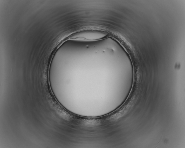 X0000094431025200712061109