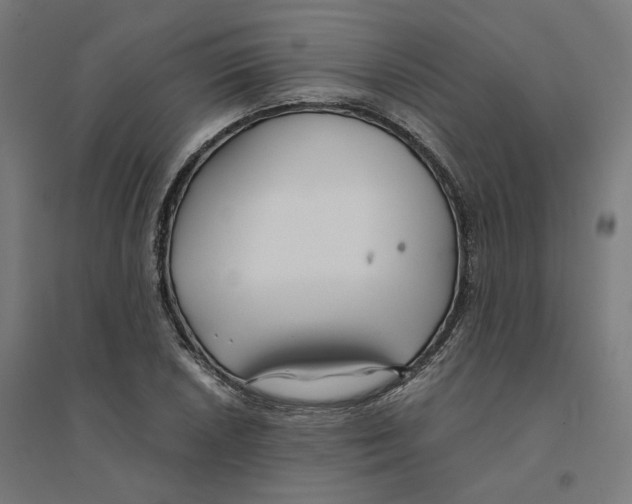 X0000094431026200712061109