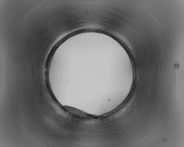 X0000094431029200712061109