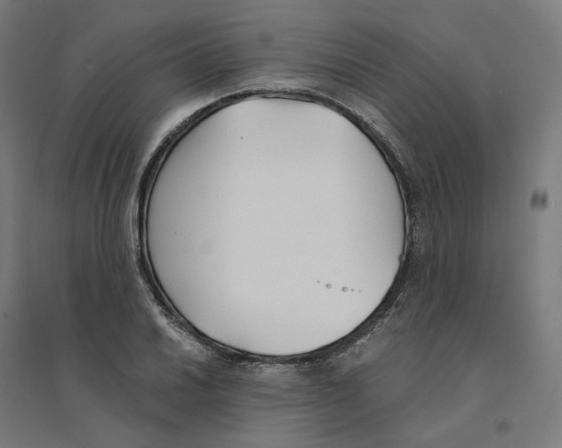 X0000094431030200712061109