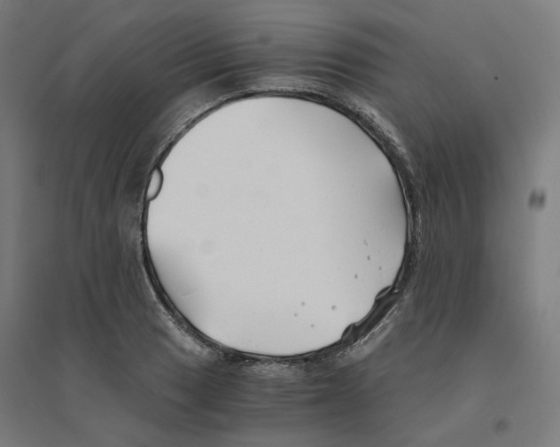 X0000094431033200712061109