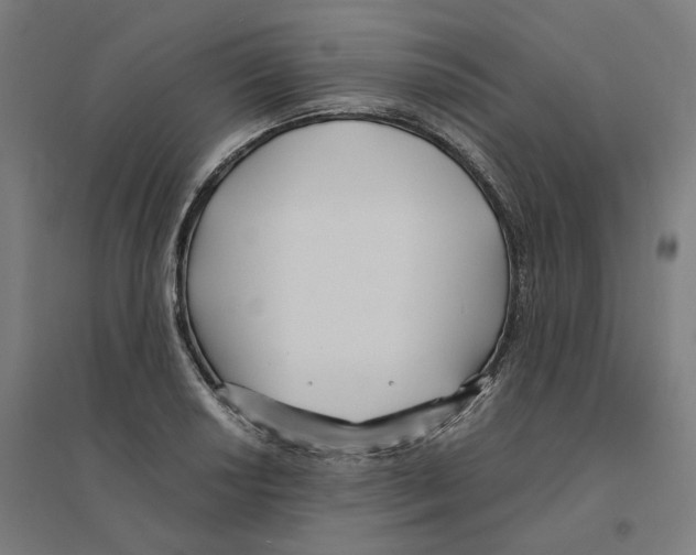 X0000094431034200712061109