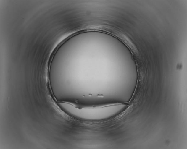 X0000094431036200712061109