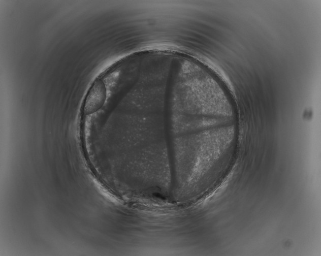 X0000094431037200712061109